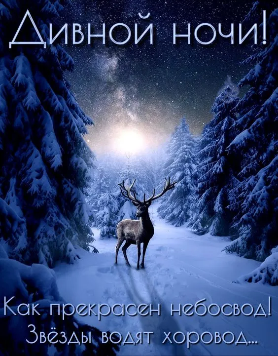 Открытки и Картинки Спокойной ночи . Зимние картинки Спокойной ночи