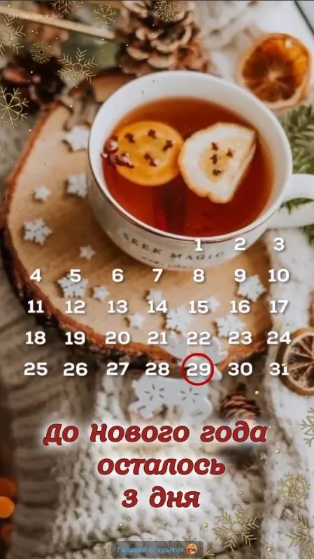 Картинки До Нового года осталось дней. До Нового года осталось днй - картинки с календарем