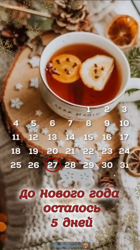 Картинки До Нового года осталось дней. До Нового года осталось днй - картинки с календарем