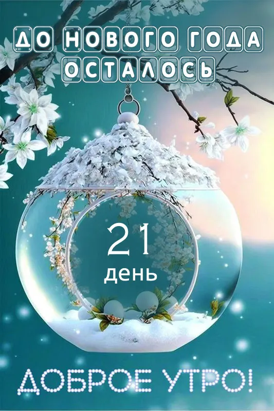 Картинки До Нового года осталось дней. До Новог года осталось дней - картинки нежные
