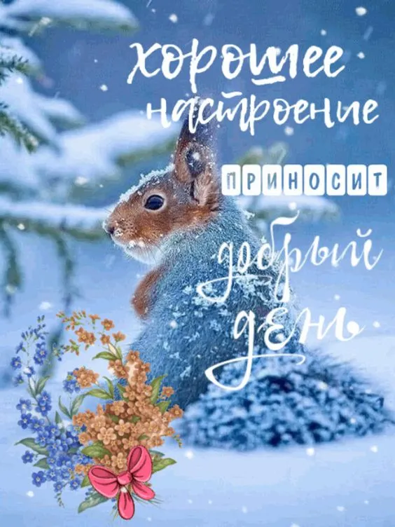 Картинки Доброго зимнего дня. Картинки Доброго зимнего дня и настроения