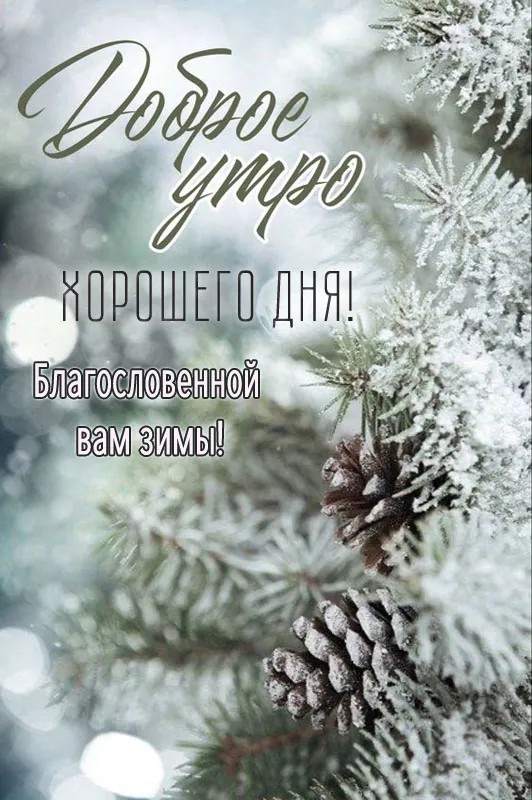Картинки Доброго зимнего дня. Картинки доброе зимнее утро хорошего дня