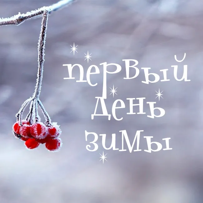 Картинки "С первым Днем зимы". С первым Днем зимы картинки красивые и прикольные