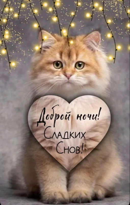 Открытки и Картинки Спокойной ночи . Сказачно красивые картинки Спокойной ночи