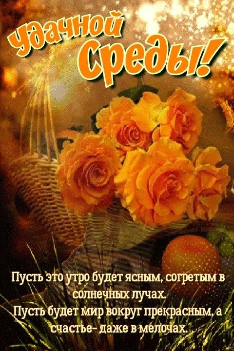 Доброе утро среды - картинки. Доброе утро среды - картинки с пожеланиями
