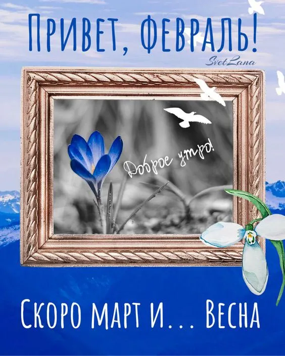 Картинки Доброе утро февраля