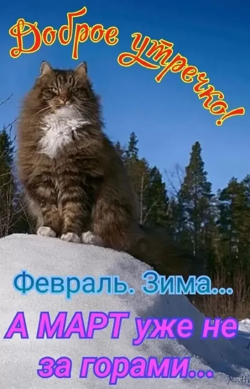 Картинки Доброе утро февраля. Картинки с Добрым утром февраля с пожеланиями