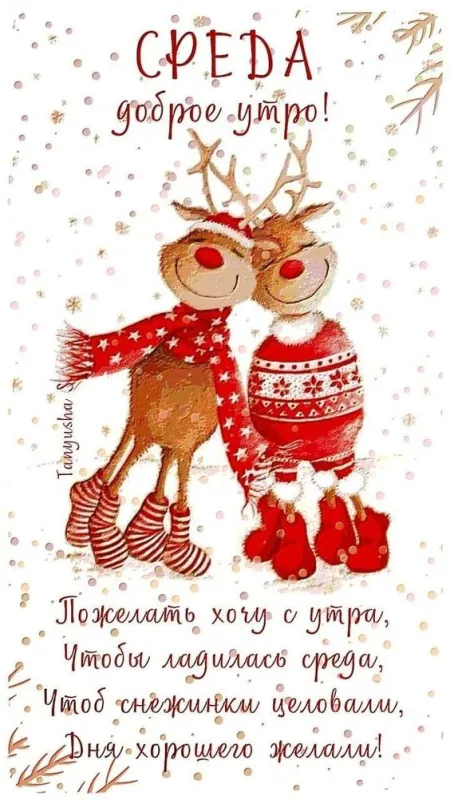 Доброе утро среды - картинки. Прикольные картинки Доброе утро среда