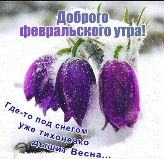 Картинки Доброе утро февраля. Картинки с Добрым утром февраля с пожеланиями