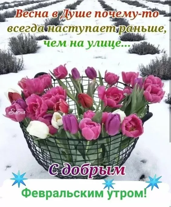 Картинки Доброе утро февраля. Картинки с Добрым утром февраля с пожеланиями