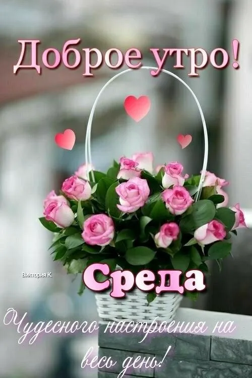 Доброе утро среды - картинки. Красивые картинки Доброе утро среды 