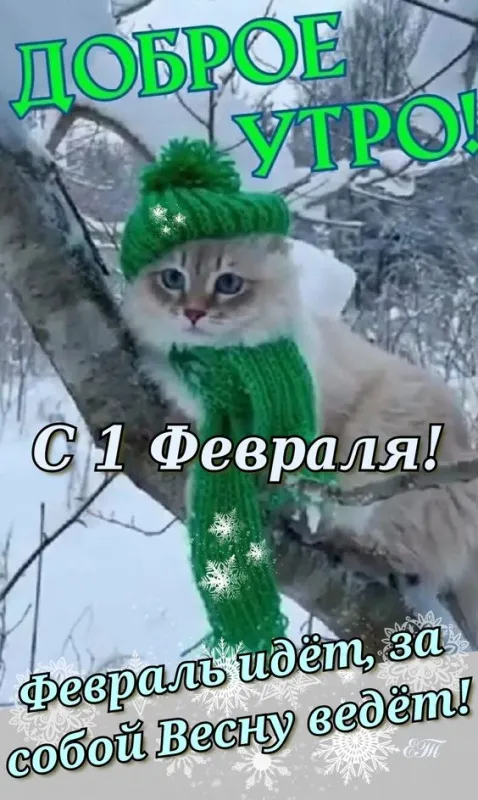 Картинки Доброе утро февраля. Картинки "С Добрым утром февраля" красивые