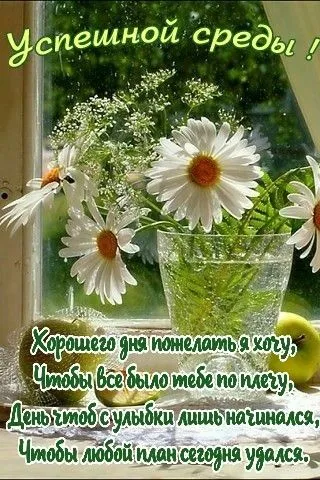 Доброе утро среды - картинки. Доброе утро среды - картинки с пожеланиями