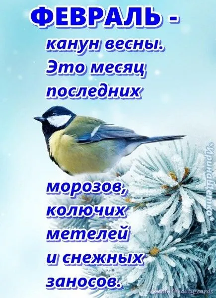 Картинки Доброе утро февраля. Картинки "С Добрым утром февраля" красивые