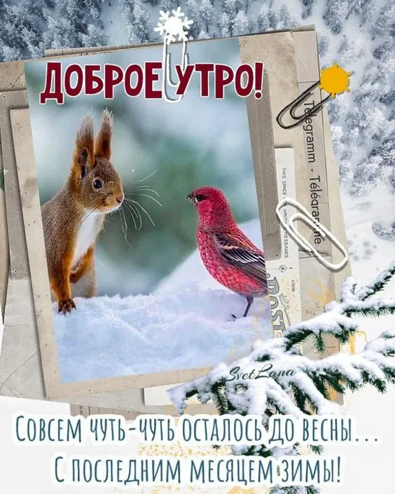 Картинки Доброе утро февраля. Картинки "С Добрым утром февраля" красивые