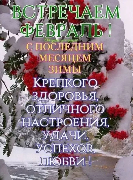 Картинки Доброе утро февраля. Картинки с Добрым утром февраля с пожеланиями
