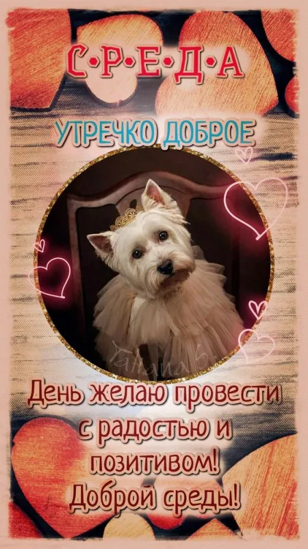 Доброе утро среды - картинки. Доброе утро среды - картинки с пожеланиями