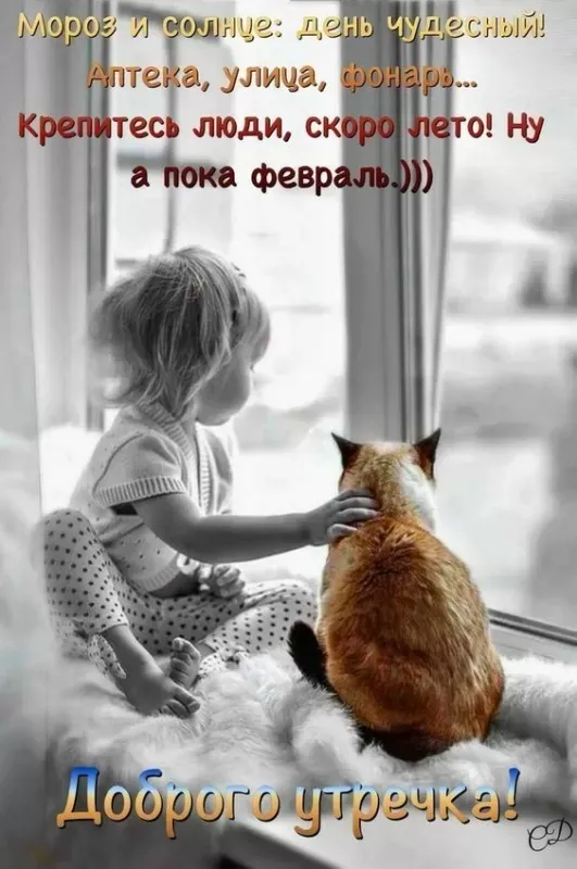 Картинки Доброе утро февраля. Картинки с Добрым утром февраля с пожеланиями