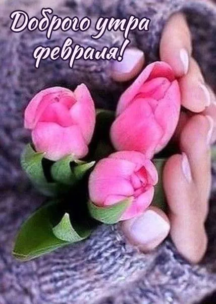 Картинки Доброе утро февраля. Картинки с Добрым утром февраля с пожеланиями