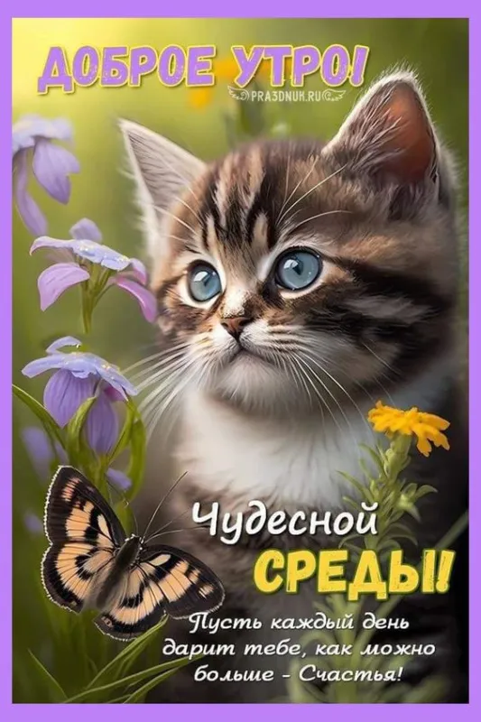 Доброе утро среды - картинки. Доброе утро среды - картинки с пожеланиями