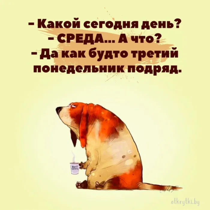 Доброе утро среды - картинки. Прикольные картинки Доброе утро среда
