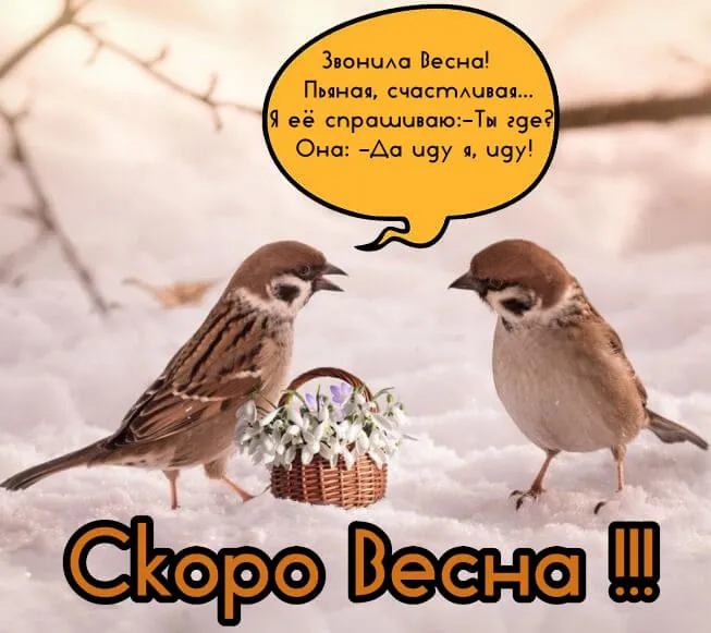 Скоро весна - картинки и гифки. Прикольные картинки "Скоро весна"