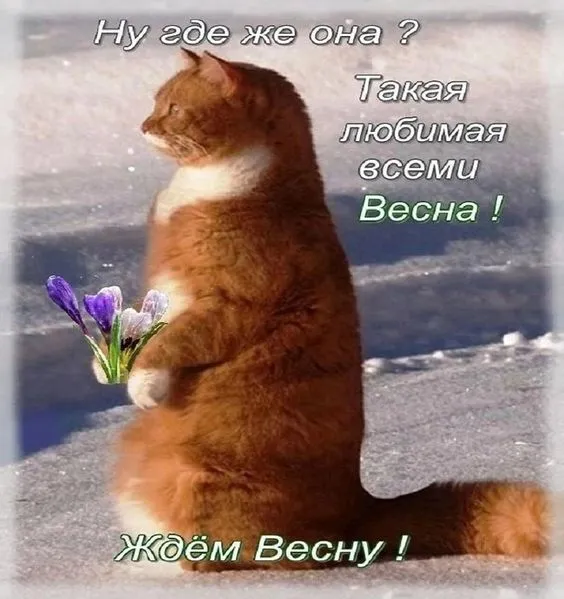 Скоро весна - картинки и гифки. Прикольные картинки "Скоро весна"