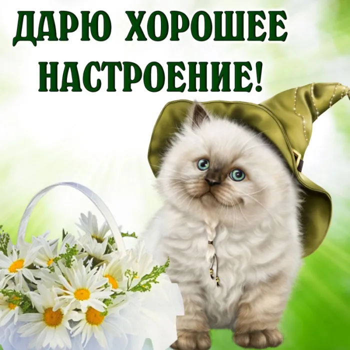 Картинки Хорошего дня и настроения . Картинки Хорошего настроения