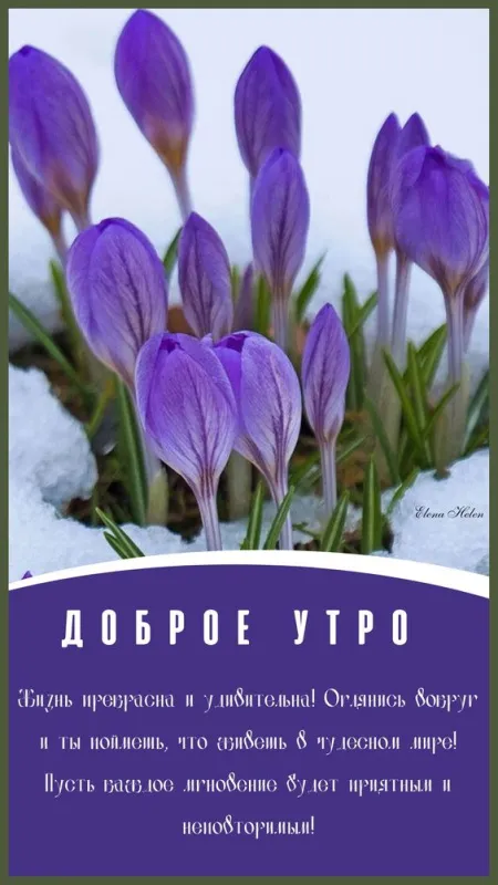Картинки и пожелания Доброго весеннего утра. Картинки Доброе утро весеннее