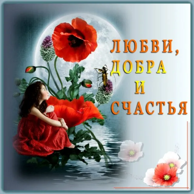 Картинки с красивыми и добрыми пожеланиями. Картинки с пожеланиями добра и счастья