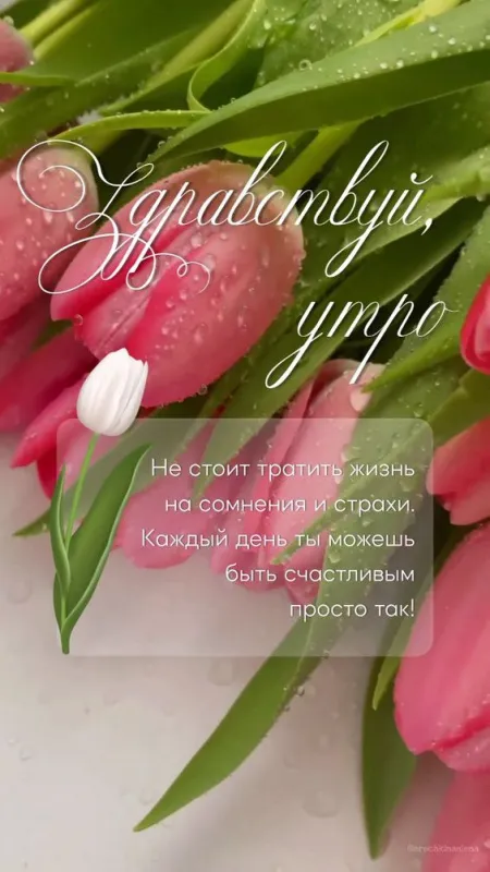 Картинки и пожелания Доброго весеннего утра. Картинки Доброго весеннего утра красивые и новые