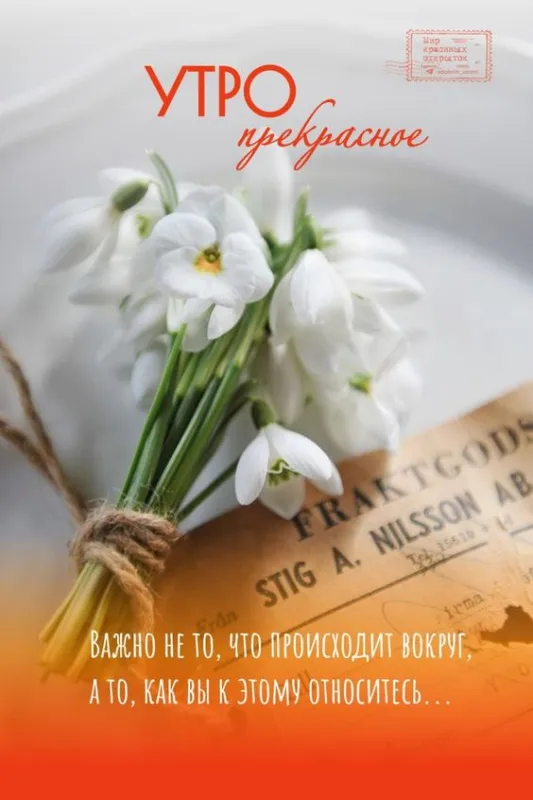 Картинки и пожелания Доброго весеннего утра. Картинки Доброе утро весеннее