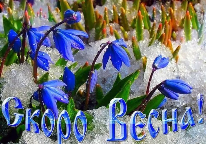 Скоро весна - картинки и гифки. Картинки "Скоро весна" прикольные