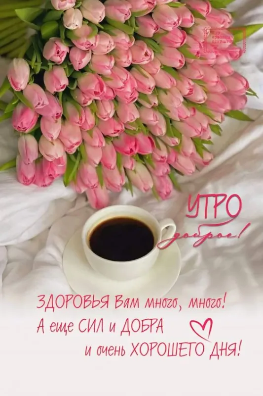 Картинки и пожелания Доброго весеннего утра. Доброго весеннего утра - картинки с пожеланиями