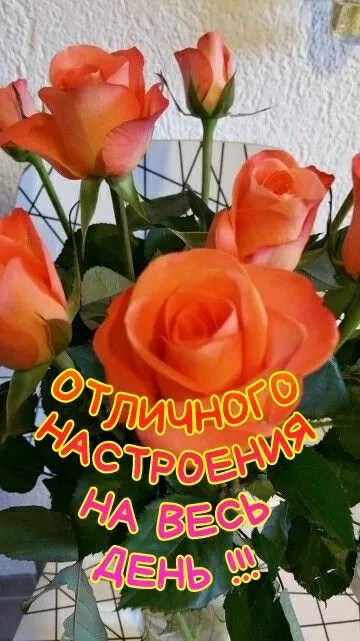 Картинки Хорошего дня и настроения . Картинки Хорошего дня и настроения