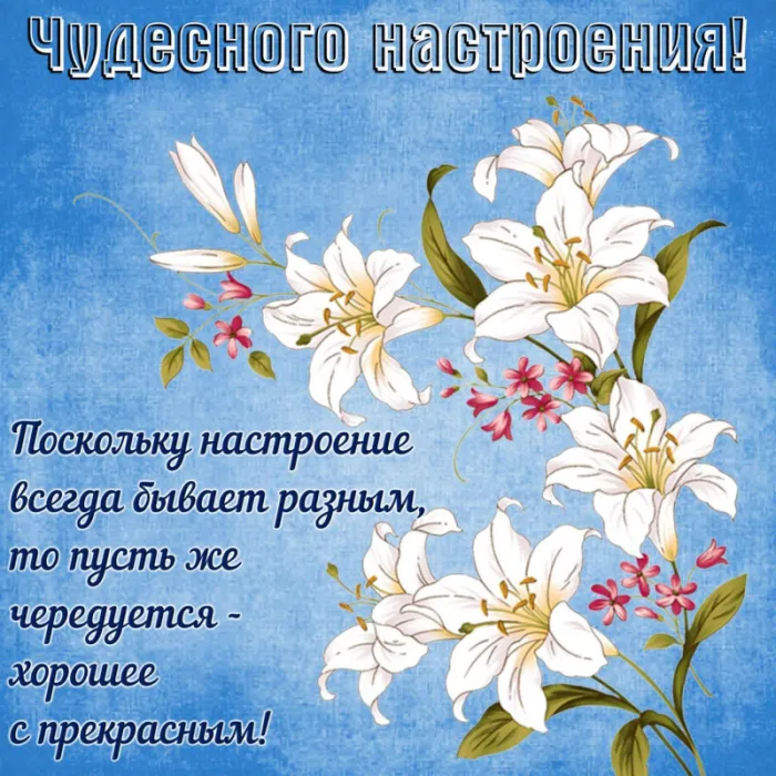 Картинки Хорошего дня и настроения . Картинки Хорошего настроения