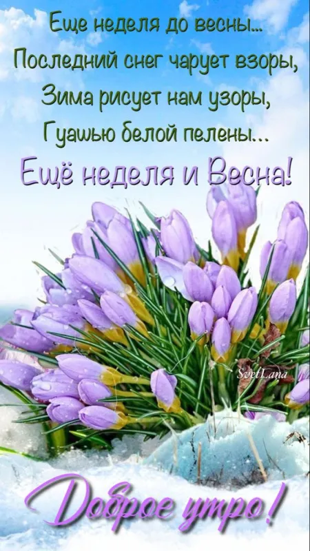 Скоро весна - картинки и гифки. Красивые картинки Скоро Весна