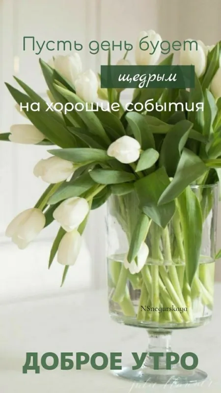 Картинки и пожелания Доброго весеннего утра. Картинки Доброго весеннего утра красивые и новые