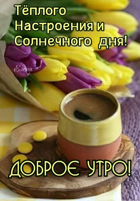 Картинки Хорошего дня и настроения . Картинки Хорошего дня и настроения