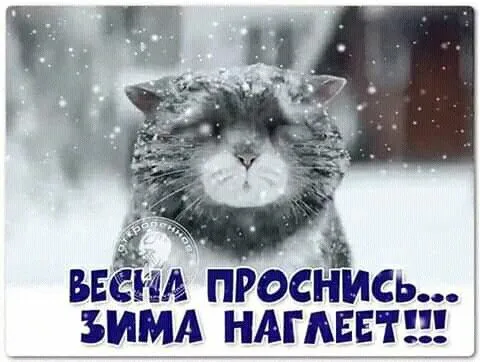 Скоро весна - картинки и гифки. Прикольные картинки "Скоро весна"