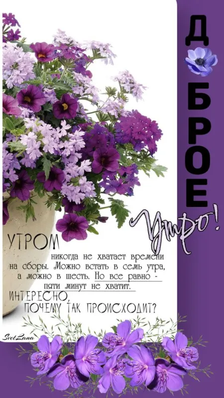 Картинки и пожелания Доброго весеннего утра. Картинки Доброе утро весеннее