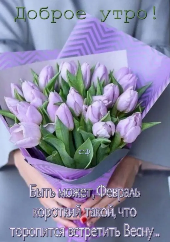 Скоро весна - картинки и гифки. Красивые картинки Скоро Весна