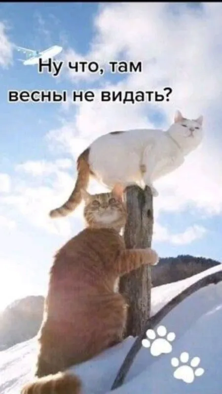 Скоро весна - картинки и гифки. Прикольные картинки "Скоро весна"