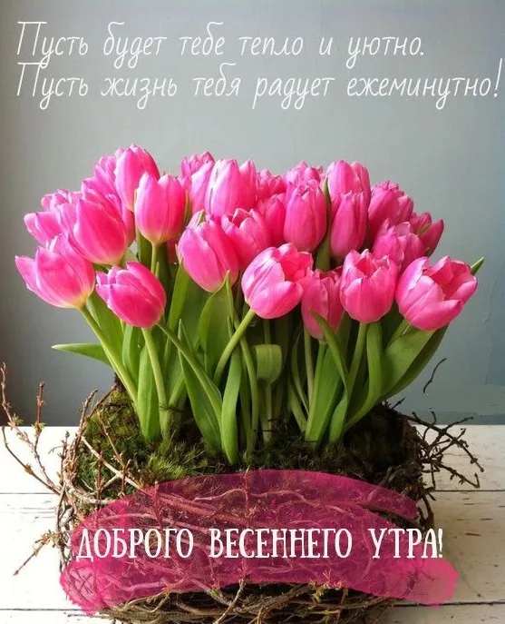 Картинки и пожелания Доброго весеннего утра. Картинки Доброе утро весеннее