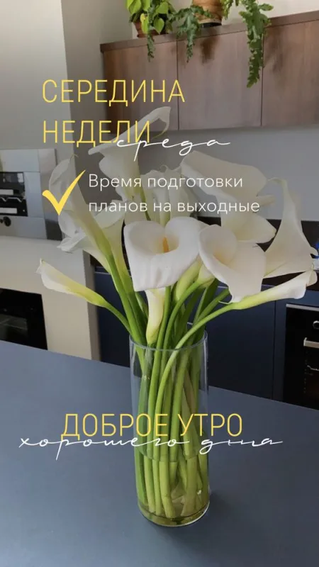 Доброе утро среды - картинки. Красивые картинки Доброе утро среды 
