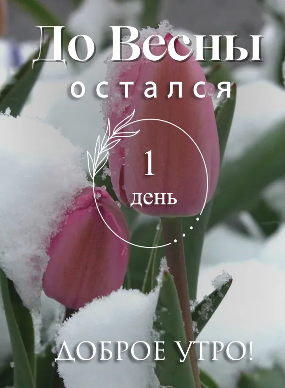 Картинки с последним днем зимы. Картинки с последним днем зимы (красивые и новые)