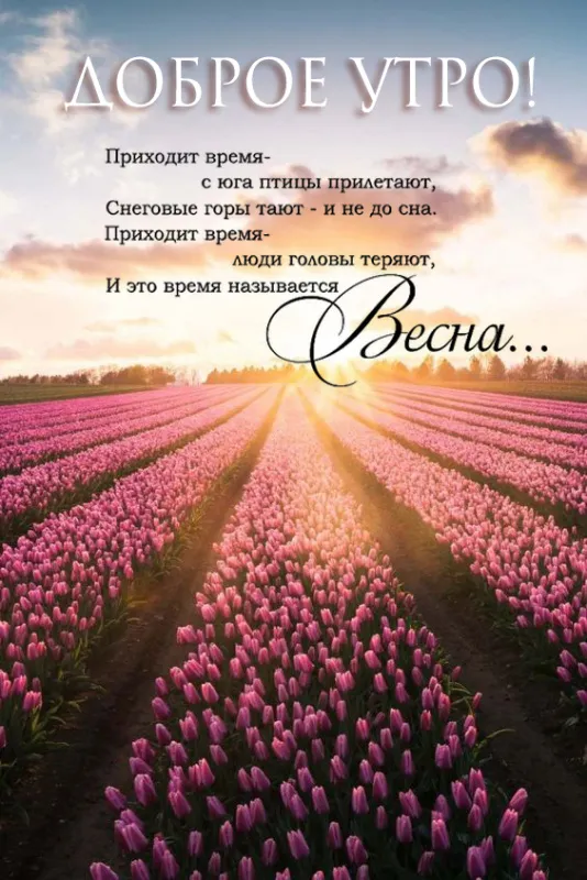 Картинки и пожелания Доброго весеннего утра. Доброго весеннего утра - картинки с пожеланиями