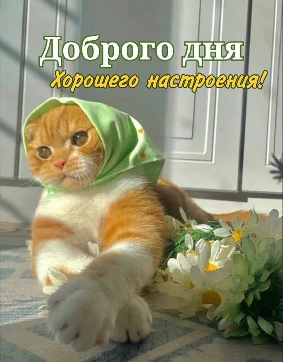 Картинки Хорошего дня и настроения . Картинки Хорошего дня и настроения