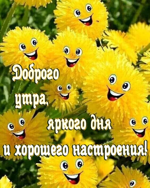 Картинки Хорошего дня и настроения . Картинки Хорошего настроения