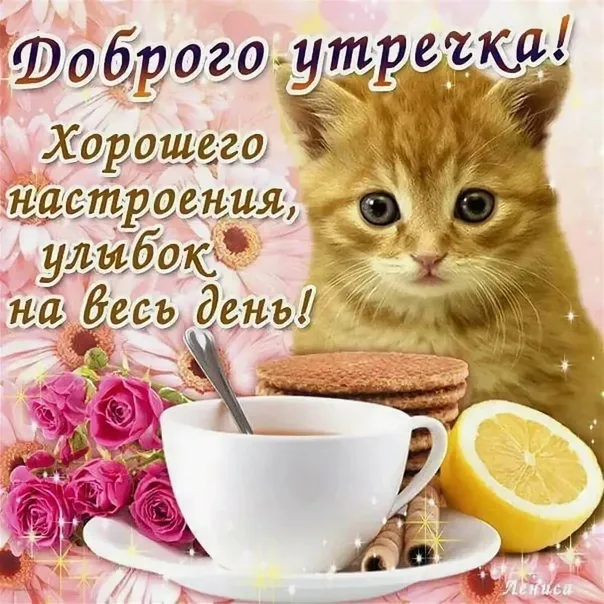 Картинки Хорошего дня и настроения . Картинки Хорошего настроения